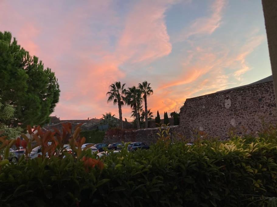 Lou Cameou Marseillan (Herault) Bagian luar foto